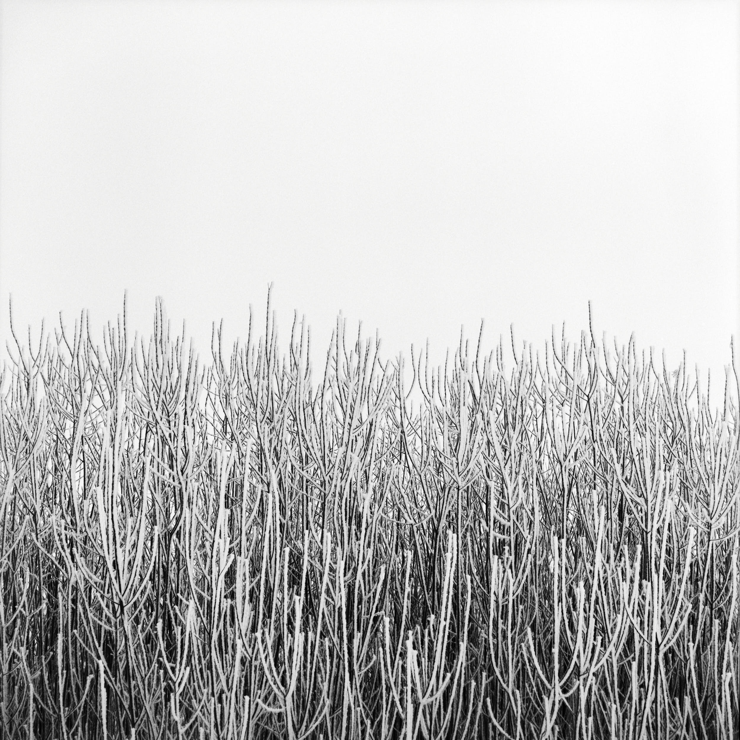 Black and white documentary photography: scenes from everyday life of a small village in the south of Czech Republic.