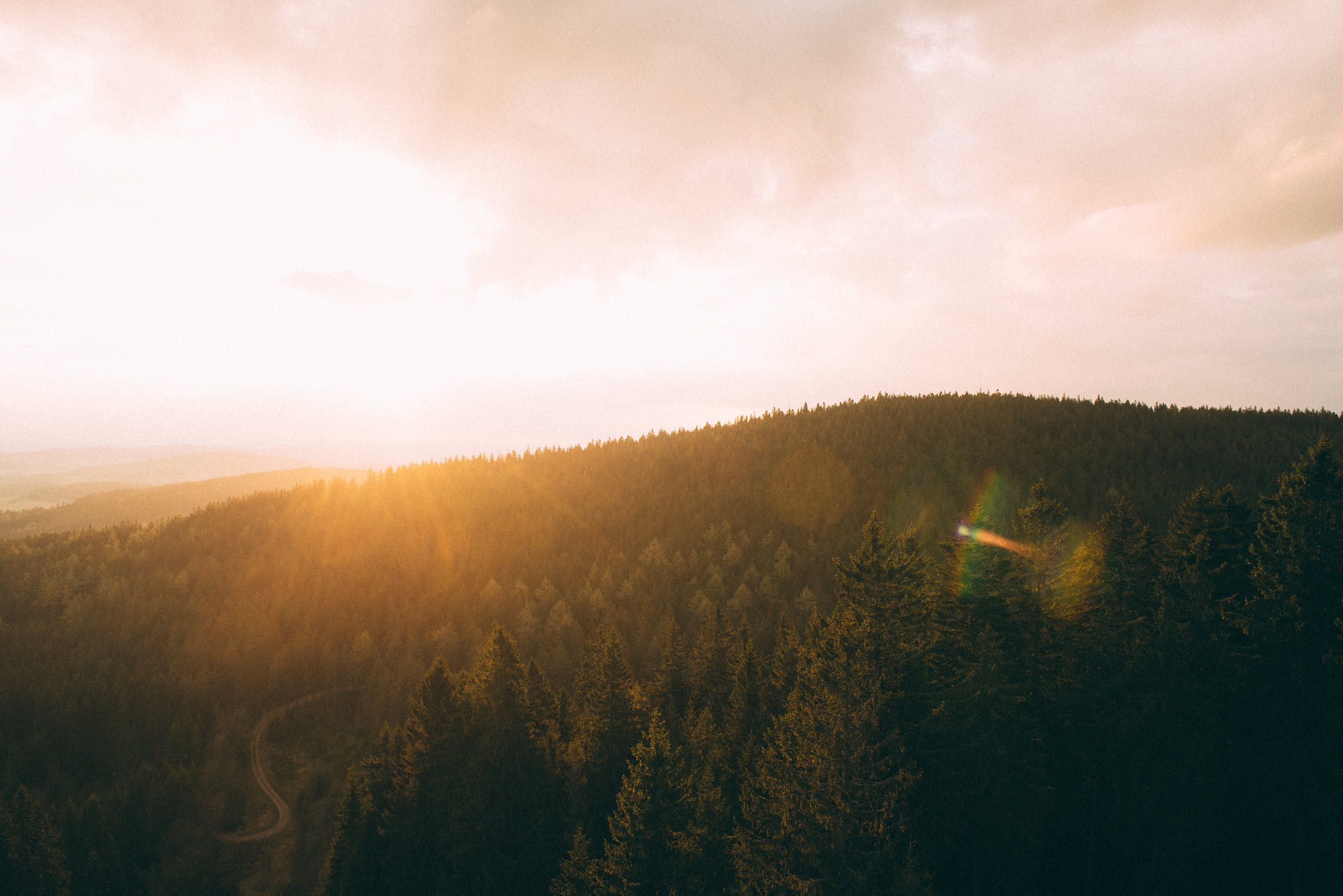 Beautiful sunrise above wooded landscape shot from elevated perspective.